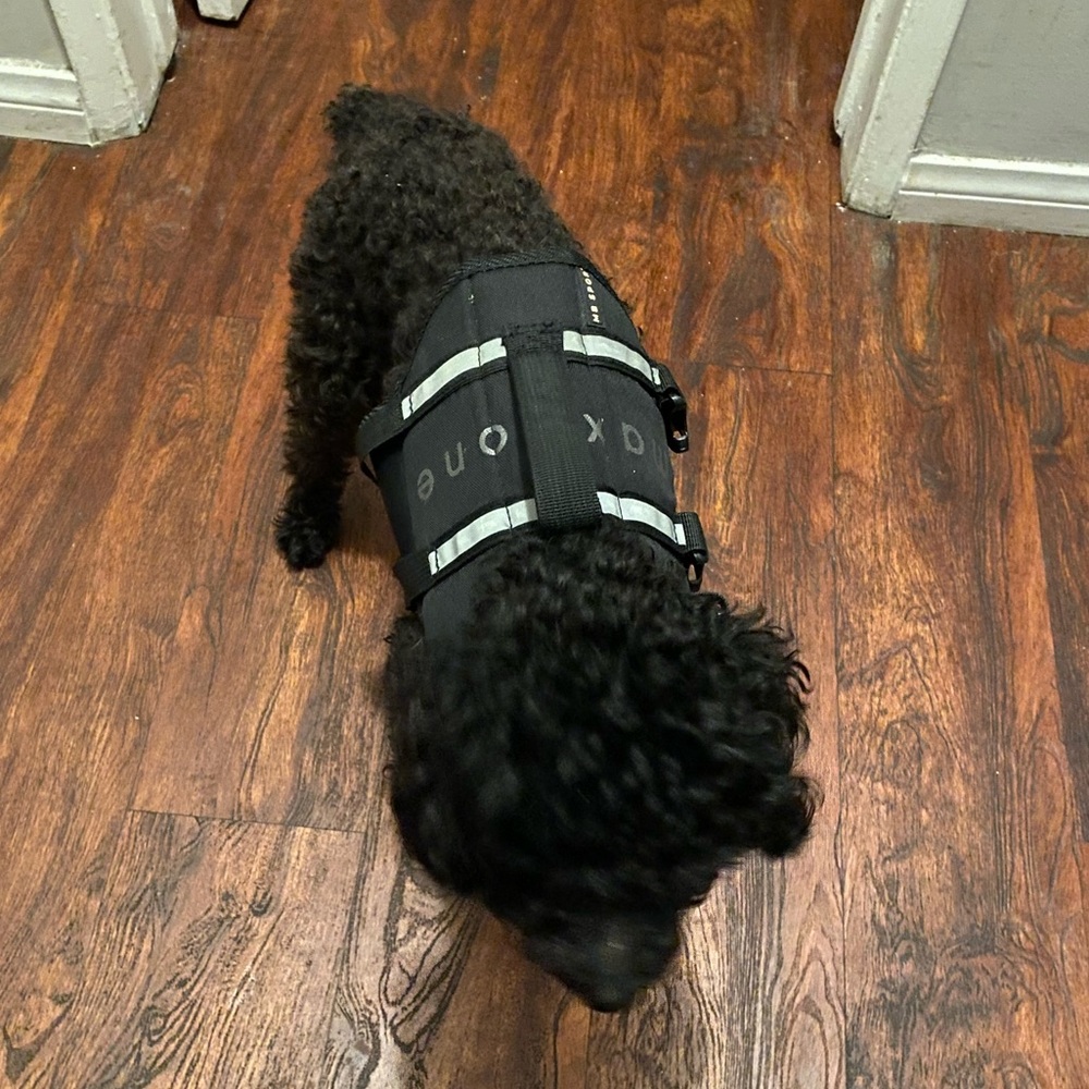 Doggy life jacket vest